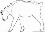 Goat Coloringpages101 sketch template
