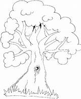 Baum Arbre Arboles Astloch Kolorowanki árbol Dzieci Arvore Manu Baeren Baeume sketch template