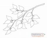 Branch Outline Leaves Tree Drawing Leaf Draw Leafs Drawings Outlines Paintingvalley Step sketch template