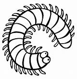 Coloring Millipede Centipede Insect Pages Color Clipart Creepy Cartoon Crawlers Centipedes Clip Colouring Sheets Insects Kids Animals Colour Print Millipedes sketch template