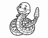 Rattlesnake Coloring Colorear Coloringcrew sketch template