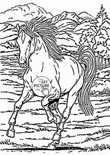 Coloring Pages Horse Running Printables Animal Kids Wild Children Wuppsy Horses Adult sketch template