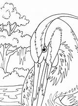 Coloring Pages Digital Heron Blue Great Citizenship Getcolorings Adult Etsy Pattern Template Drawing Color sketch template