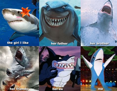 Sharks Funny Funny Shark Pictures Funny Relatable Memes