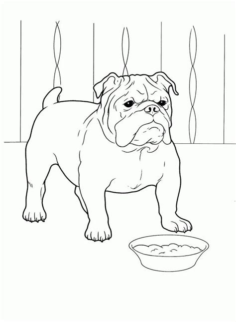 dogs coloring pages  pics  color dog coloring page dog