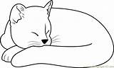 Cat Sleeping Coloring Ginger Pages Coloringpages101 Kids Cats Color Printable Colors Online sketch template