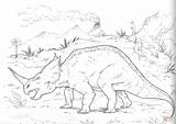 Centrosaurus Kolorowanki Dinosaurier Colorare Lambe Ausmalbilder Dinozaur Kolorowanka Dinosauri Styracosaurus Druku Dla Dzieci sketch template