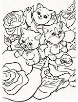 Chaton Kittens Coloringonly Chatons Kitten Gatito Minou sketch template