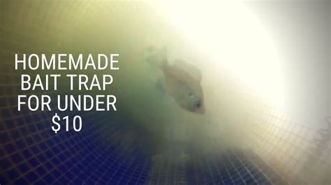 Homemade Minnow Trap In Action W Trap Pov Youtube