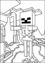 Minecraft Coloring Skins Pages Popular sketch template