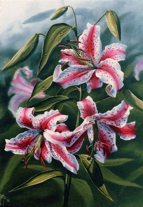 judy sleight stargazer lilies  lily painting floral
