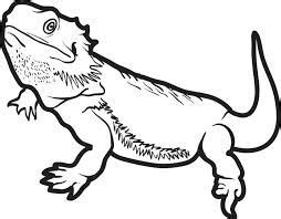 image result  reptile colouring pages