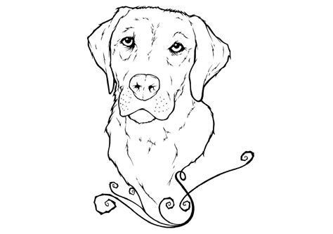 labrador coloring pages  coloring pages  kids