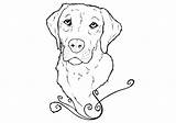 Labrador Puppy Bestcoloringpagesforkids sketch template