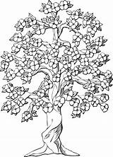 Baum Malvorlagen Tree Flowering Magnolia Leaves sketch template