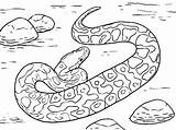 Coloring Snake Pages Anaconda Viper Rattlesnake Dodge Ninjago Scary Color Diamondback Colouring Snakes Printable Getcolorings Animal Sheet Sheets Getdrawings Colorings sketch template