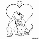 Chiot Chien Enamorados Mignon Perrito Perritos Gratuit Cachorros Hunde Gatitos Collie Animados Greatestcoloringbook sketch template