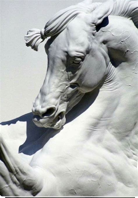 horse details escultura de caballo esculturas de animales escultura