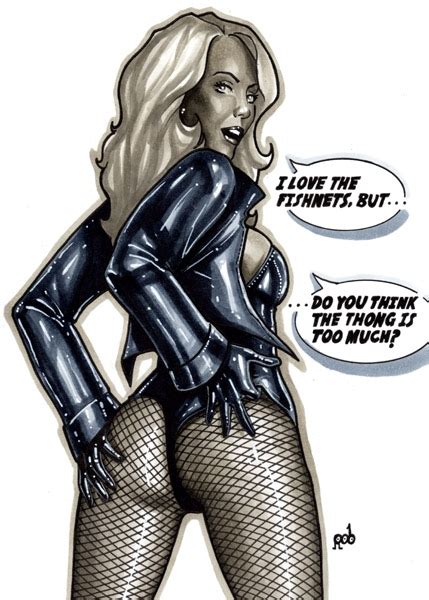 Who S Hotter Catwoman Or Black Canary Dc Comics
