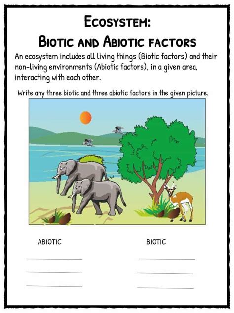ecosystem worksheets biotic abiotic lesson resources ecosystems