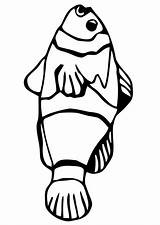 Vis Goldfisch Kleurplaat Goudvis Poisson Pesce Carpa Dorada Pez Fisch Malvorlage Educol sketch template