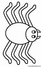 Coloring Spider Spiders Insects Color Kids Pages Print Creepy Crawly Activity Bigactivities sketch template