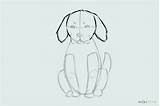Chiweenie Coloring Pages Template Draw sketch template