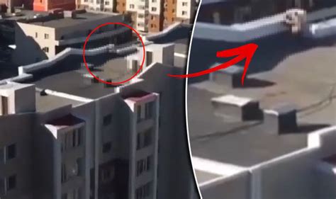 Couple Videoed Having Sex On Rooftop By Baffled Homeowner Uk