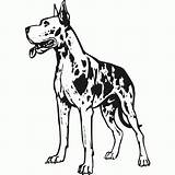 Coloring Dane Great Pages Dog Popular sketch template