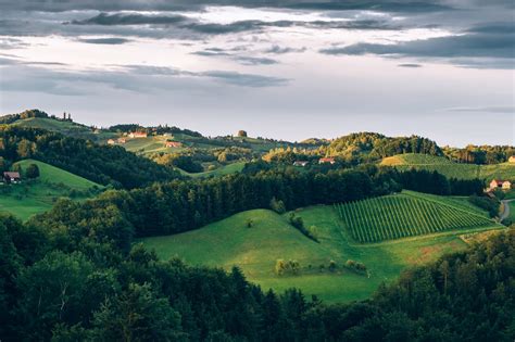 styria wine region austria winetourism
