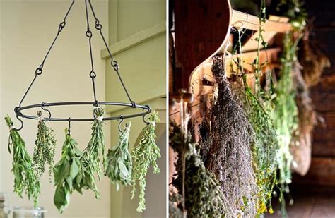 17 Ideas For Decorating With Dried Herbs