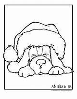 Coloring Christmas Puppy Pages Animal Printables Cute Animals Printable Kids Hat Print Jewelry Jr Dog Santa Winter Colour Adults Adult sketch template