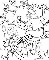 Coloring Zacchaeus Tree Pages Bible Fig Jesus Forgives Printable Sunday School Activities Colouring Choose Board Getcolorings Getdrawings sketch template