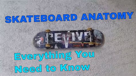skateboard parts explained skateboard anatomy beginners explain