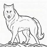 Wolf Coloring Pages Cute Pup Kids Printable Cub Detailed Print Colouring Mom Mother Color Drawing Peter Clyde Popular Kid Getdrawings sketch template