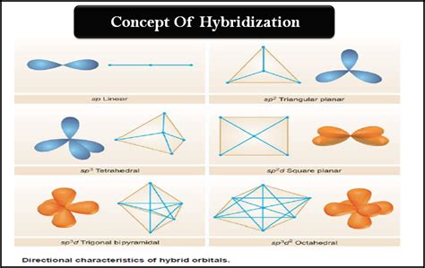 hybridization definition types rules examples read chemistry