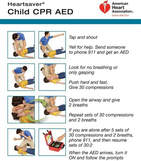 toddler cpr infant cpr adult cpr  aid cpr cpr training