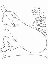 Coloring Eggplant Pages Vegetables sketch template