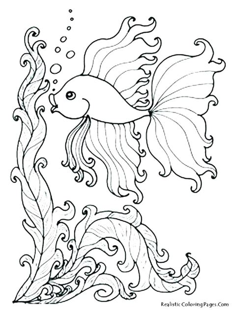 ocean adult coloring pages  getdrawings