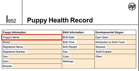 dog vaccination record printable  form fill