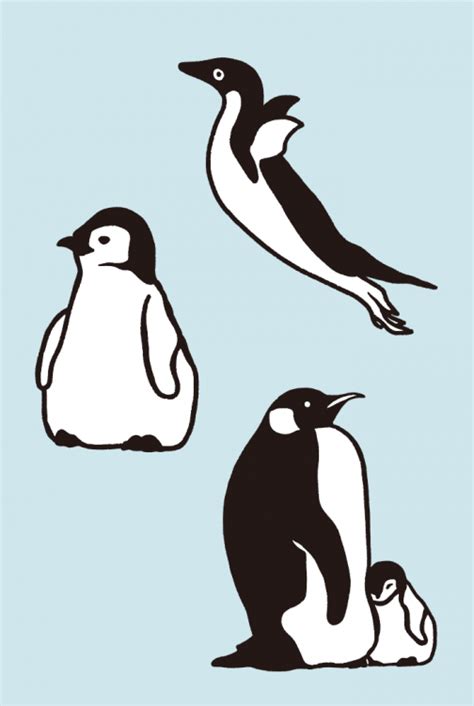 A Set Of Penguin Drawing Ai Illustrator File Us 5 00 Each Ai