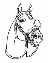 Cavallo Piume Decorato Ritratto Strisce Illustrazione Testa Coloritura sketch template