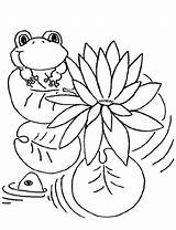 Coloring Frog Pages Lily Pad Monet Sweet Drawing Cartoon Frogs Print Preschoolers Leapfrog Claude Getcolorings Color Frogadier Bullfrog Getdrawings Printable sketch template