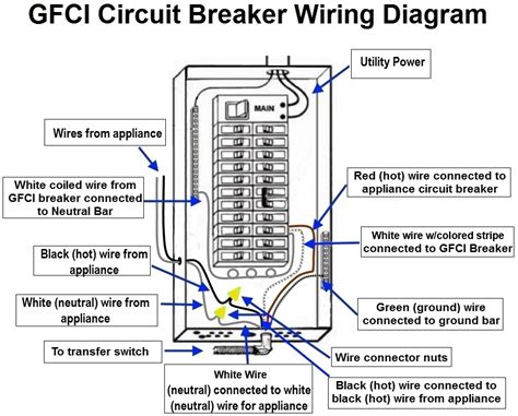 pole gfci breaker wiring diagram   wiring diagram schematic