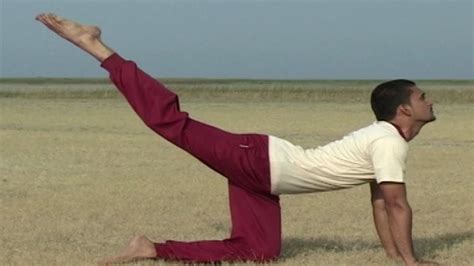 yoga asana    spine chiri kriya beginners yoga