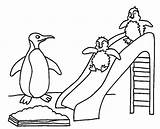 Coloring Slide Pages Penguin Baby Penguins Two Playing Mother Their Choose Board Kidsplaycolor sketch template