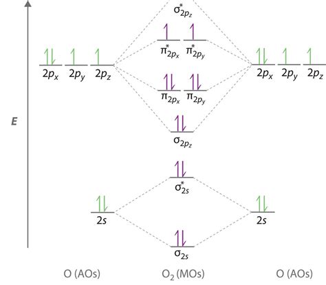 ozone molecular orbital diagram wiring diagram pictures