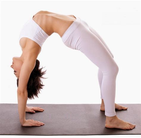 fundamental yoga postures exercises  poses health solver