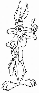 Coloring Coyote Pages Wile Runner Road Looney Tunes Popular sketch template