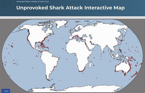 youre    experience  shark attack map
